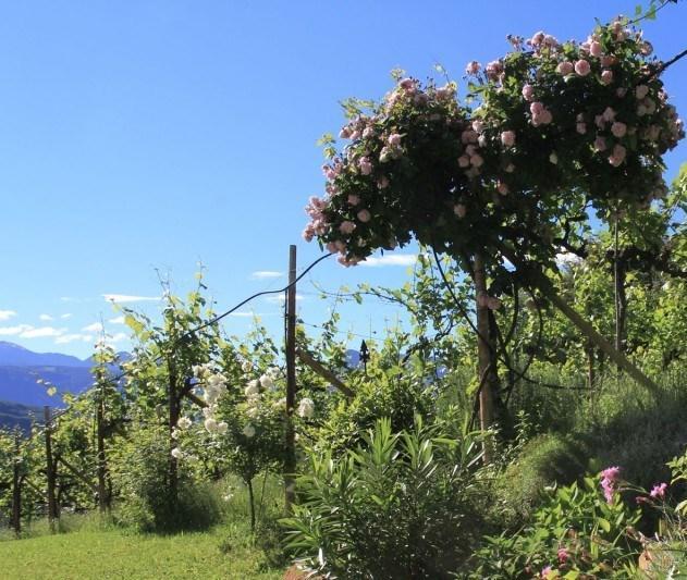 Apartmán Millenniumshof Caldaro Exteriér fotografie